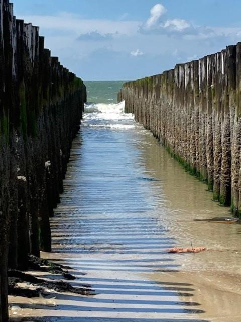 Duinstrand Burgh-Haamstede Zewnętrze zdjęcie